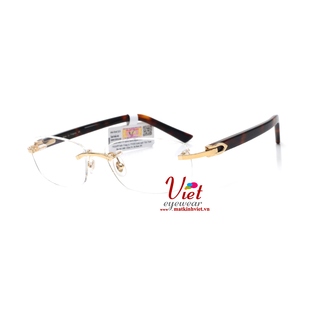 Gọng kính Cartier CT0048O 004
